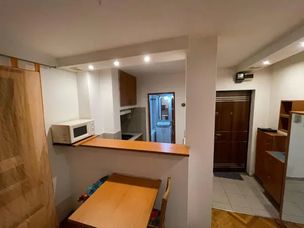 Apartament 1 camera Timișoara - poza 2