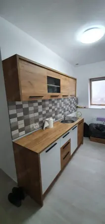 Apartament 1 camera Timișoara - poza 1