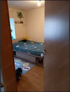 Decomandat cu 2 bai si 3 balcoane linga Piata Verde - foto 11