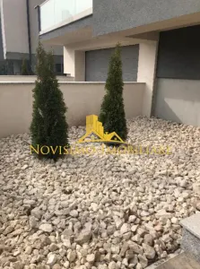 NOVISIMO-IMOBILIARE: SPATII BIROURI DE INCHIRIAT, ZONA CENTRALA - Ploiesti