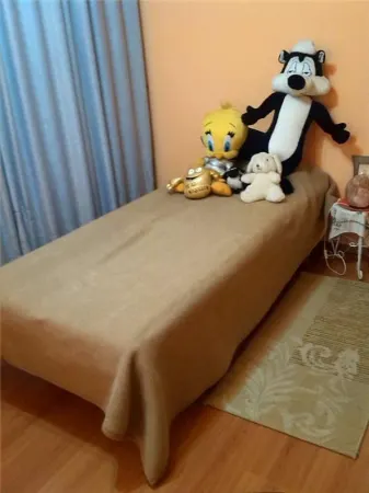 Apartament 3 camere Timișoara - poza 6