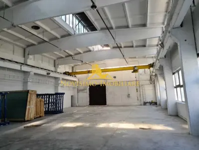 NOVISIMO-IMOBILIARE: HALE DE INCHIRIAT CU SUPRAFETE INTR 400 SI 900 M2 - foto 2