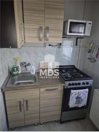 Apartament 1 camera Timișoara - poza 3