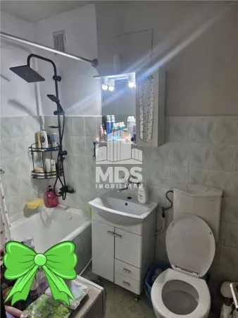 Apartament 1 camera Timișoara - poza 5