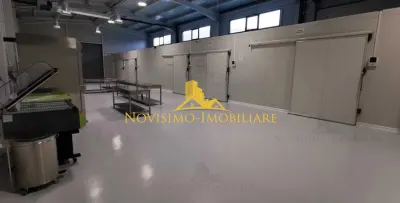 NOVISIMO-IMOBILIARE: HALA DE INCHIRIAT - foto 2