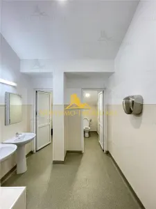 NOVISIMO-IMOBILIARE: BIROURI DE INCHIRIAT ULTRACENTRAL,  INCEPAND DE LA 15 MP - foto 19