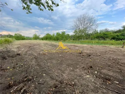 NOVISIMO-IMOBILIARE: TEREN DE VANZARE IN PAULESTI - foto 1