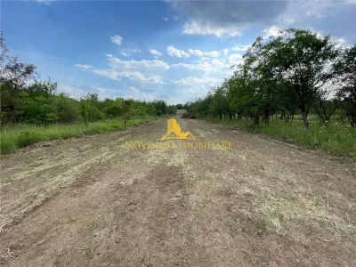 NOVISIMO-IMOBILIARE: TEREN DE VANZARE IN PAULESTI - foto 2