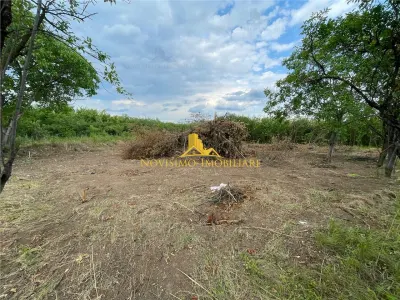 NOVISIMO-IMOBILIARE: TEREN DE VANZARE IN PAULESTI - foto 3