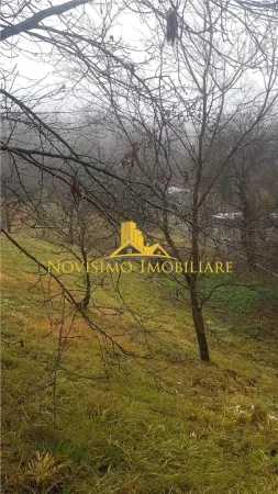 Casă 4 camere Valcanesti - poza 20