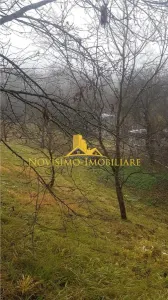 NOVISIMO-IMOBILIARE: VILA IN ZONA VALCANESTI - foto 20