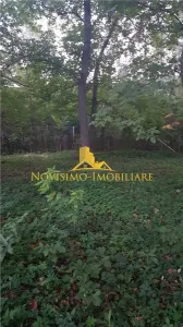 NOVISIMO-IMOBILIARE: VILA IN ZONA VALCANESTI - foto 21