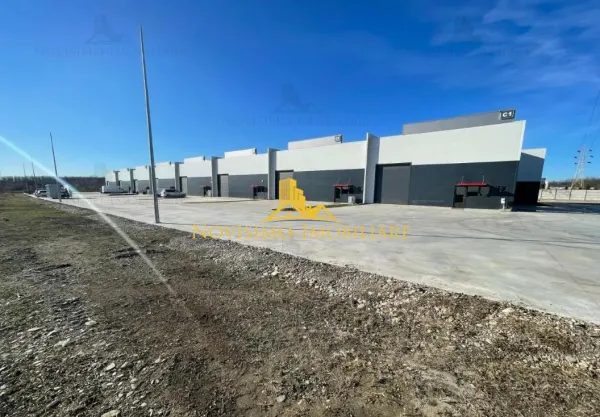 Spațiu industrial Bucov - poza 7