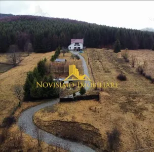 NOVISIMO-IMOBILIARE: CABANA IN ZONA VALEA DOFTANEI, 7000 MP TEREN - foto 12
