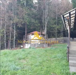NOVISIMO-IMOBILIARE: CABANA IN ZONA VALEA DOFTANEI, 7000 MP TEREN - foto 6