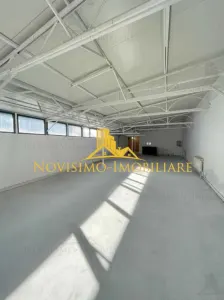 NOVISIMO-IMOBILIARE: HALA DE INCHIRIAT IN BAICOI - foto 1