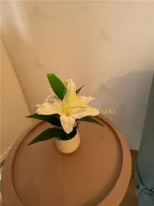 NOVISIMO-IMOBILIARE: APARTAMENT CU 3 CAM. DE INCHIRIAT IN ALBERT , PARCARE - foto 7