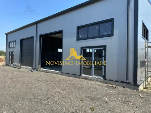 Spațiu industrial Păulești - poza 3