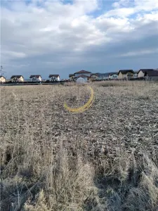TEREN 1050 MP STR VOINICENILOR - foto 2