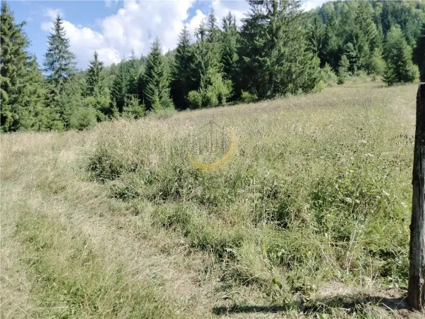 Teren Târgu Mureș - poza 11