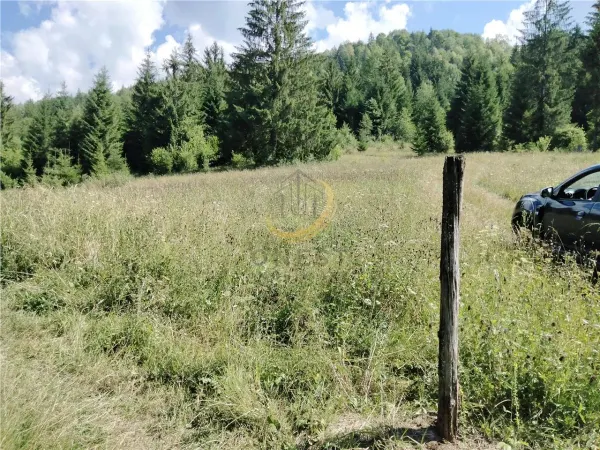 Teren Târgu Mureș - poza 12