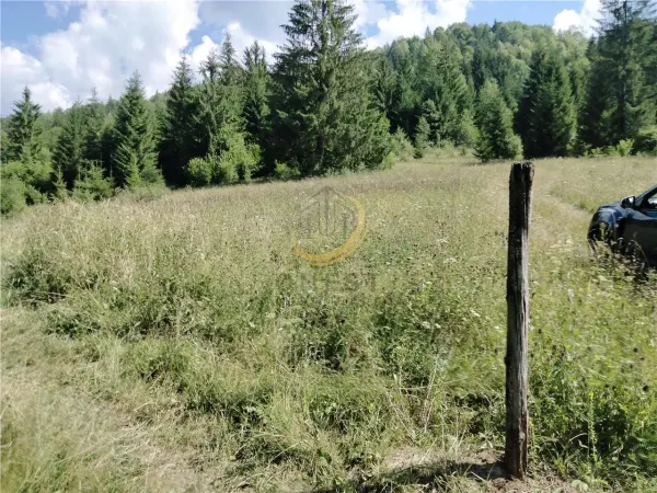 Teren Târgu Mureș - poza 13