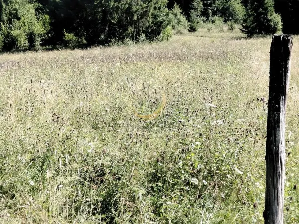 Teren Târgu Mureș - poza 14