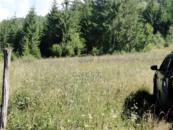 Teren Târgu Mureș - poza 15