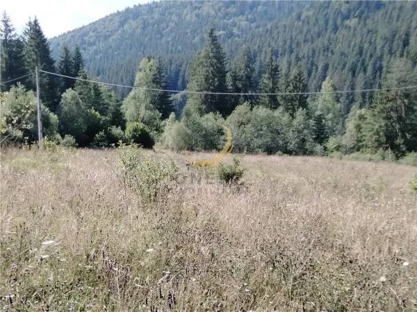 Teren Târgu Mureș - poza 19