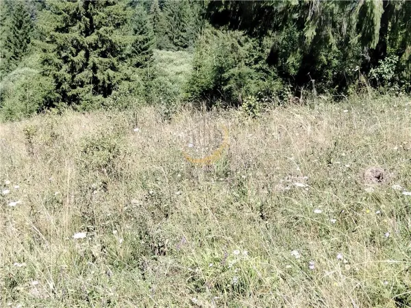 Teren Târgu Mureș - poza 20