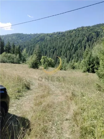 Teren Târgu Mureș - poza 3