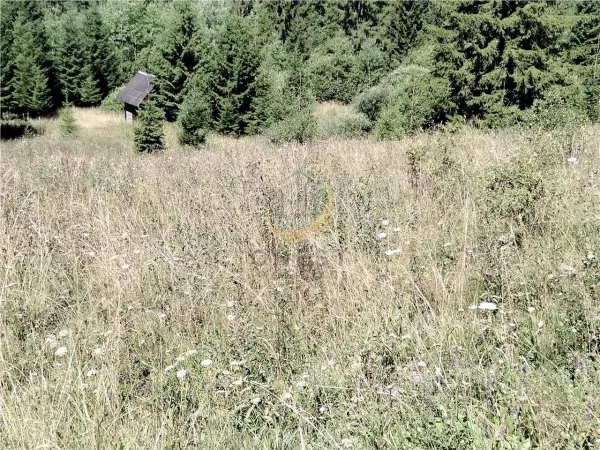 Teren Târgu Mureș - poza 21