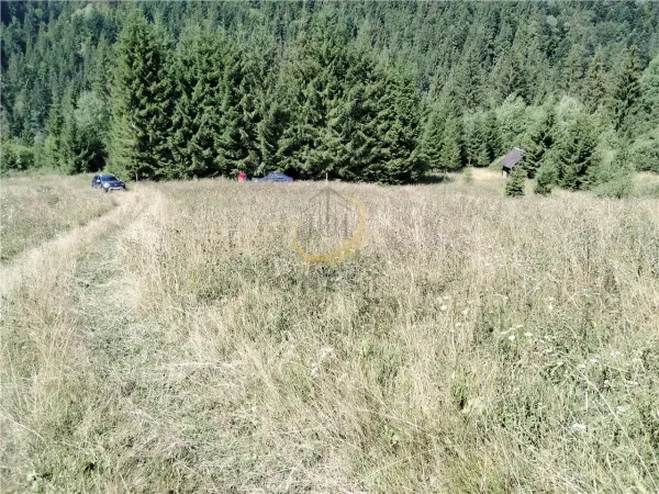 Teren Târgu Mureș - poza 24