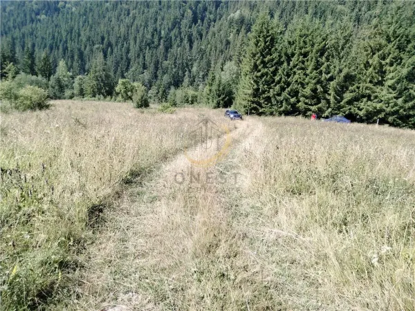 Teren Târgu Mureș - poza 25