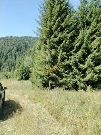 Teren Târgu Mureș - poza 6