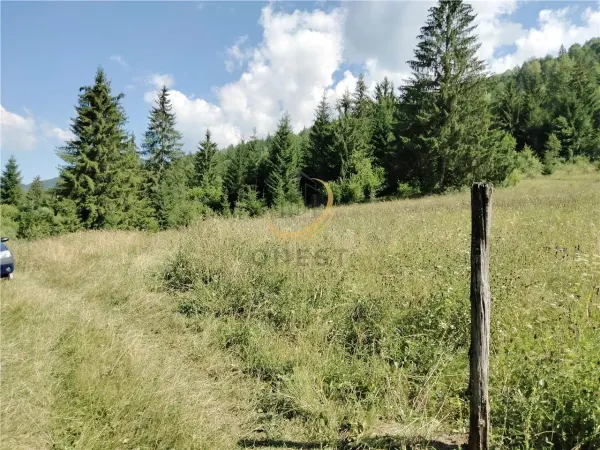 Teren Târgu Mureș - poza 10