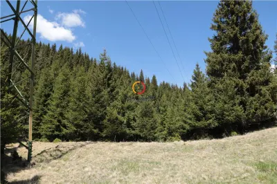 terenuri speciale Padina Busteni sunt dispuse ca o veritabila coroana in jurul lacului Bolboci - foto 12