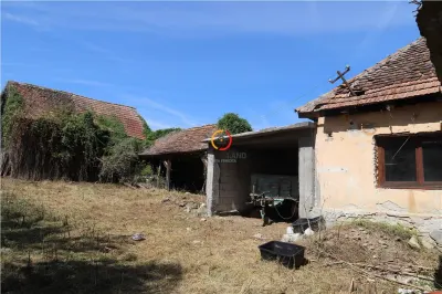 casa traditionala Bruiu Somartin judet Sibiu - foto 3
