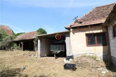 casa traditionala Bruiu Somartin judet Sibiu - foto 8