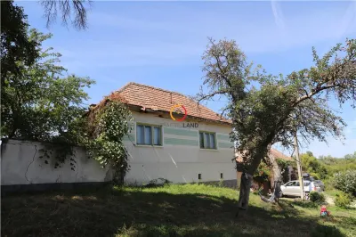 casa traditionala Bruiu Somartin judet Sibiu - Sibiu