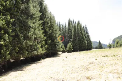 terenuri speciale Padina Busteni, sunt dispuse ca o veritabila coroana in jurul lacului Bolboci - foto 13