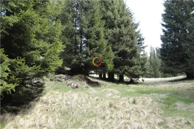 terenuri speciale Padina Busteni, sunt dispuse ca o veritabila coroana in jurul lacului Bolboci - foto 9