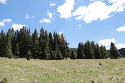 terenuri speciale Padina Busteni - foto 12