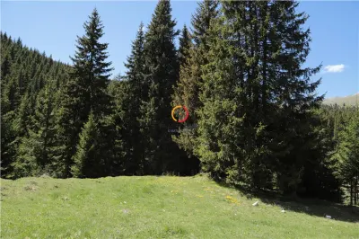 terenuri speciale Padina Busteni - foto 18