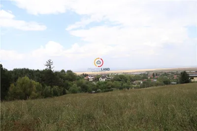 teren intravilan cu PUZ si PUD 2 loturi - foto 3