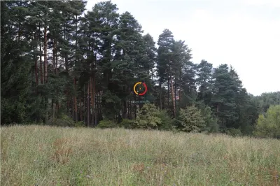 teren intravilan cu PUZ si PUD 2 loturi - foto 4