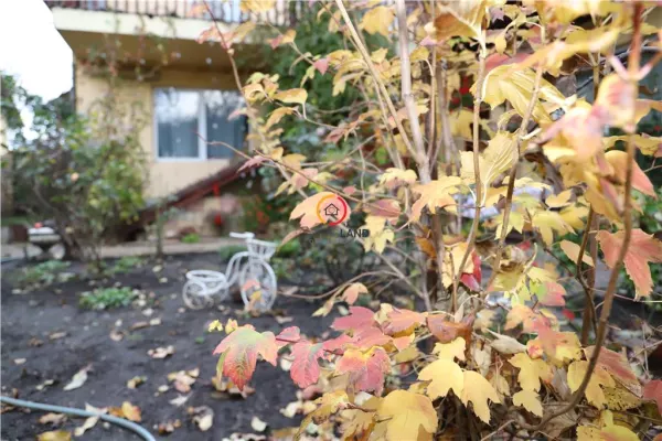 Casă 5 camere Brașov - poza 39