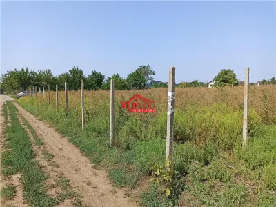 Teren Aroneanu -4800 MP - Iasi