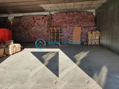 Royal Imobiliare - Spatiu industrial de inchiriat in Ploiesti, zona Exterior Est - foto 2