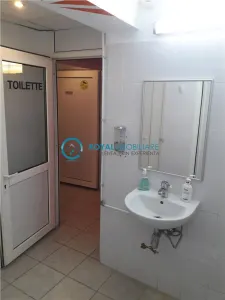 Royal Imobiliare - Inchirieri spatii comerciale zona Cantacuzino - foto 5